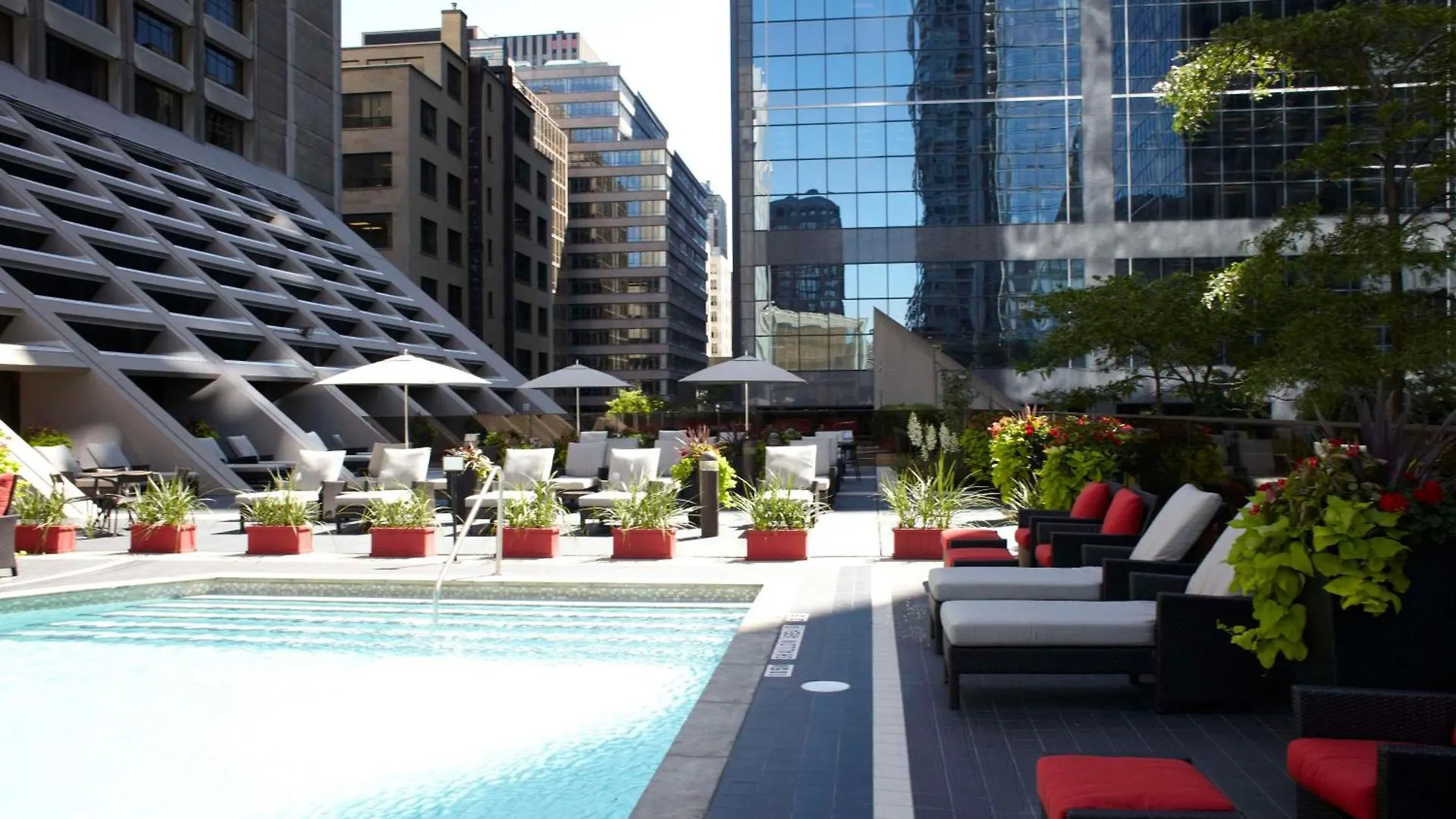 ****  Hilton Toronto Hotel Canada