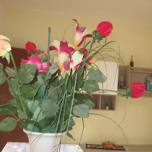 https://valderice-vacanze-2.sicilyhotelsitaly.net